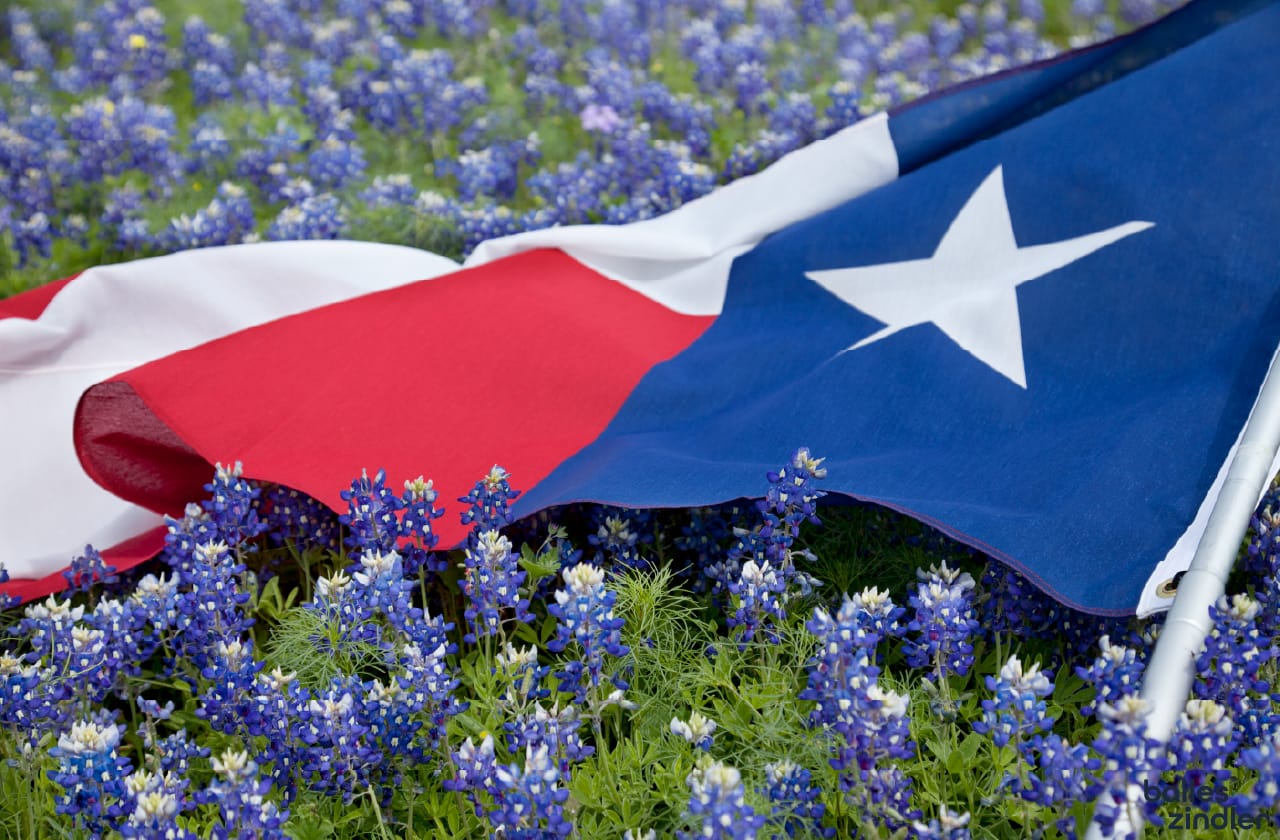 Local SEO for East Texas and Houston businesses by Bailes + Zindler